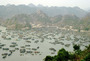 vietnam - cat ba island harbour.jpg